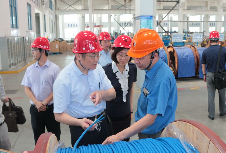 2016年7月22日，瀘州市委常委、副市長王建翔一行來上上電纜參觀考察