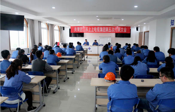 2016年4月20日，共青團江蘇上上電纜集團第五次代表大會召開