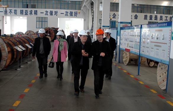 2015年3月13日，金壇市經信局領導一行來上上電纜考察