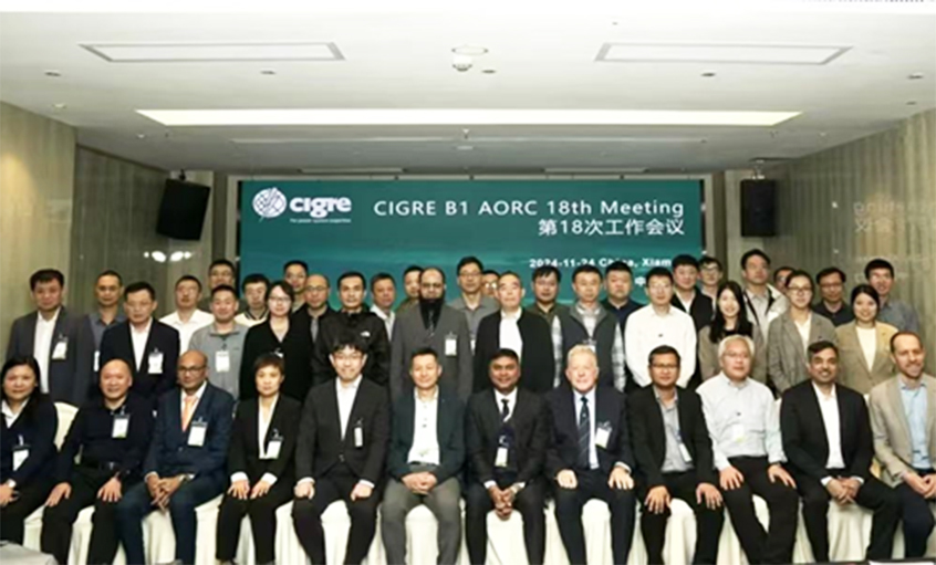 上上電纜受邀出席CIGRE絕緣電纜專委會亞太區第18次年會并做專題發言
