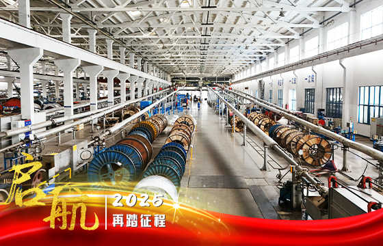 1738746868286976ky8R.jpg 橡纜.jpg